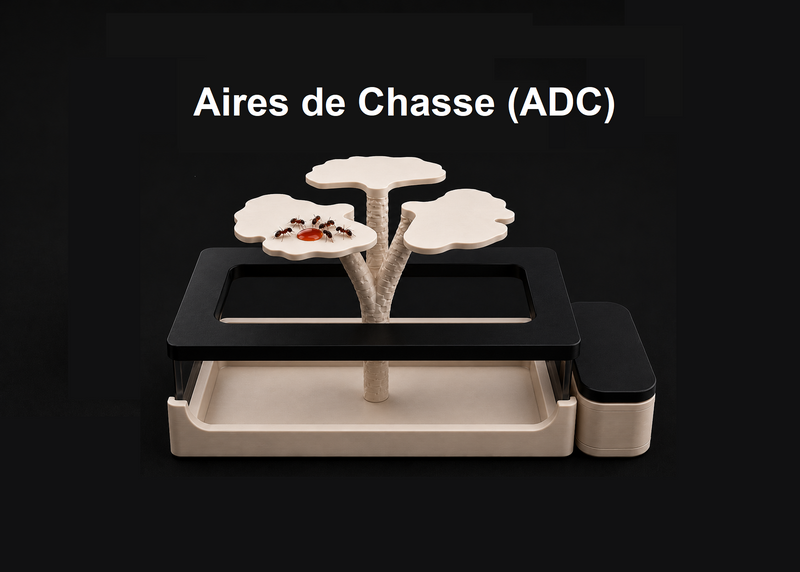 Aire de Chasse (ADC)